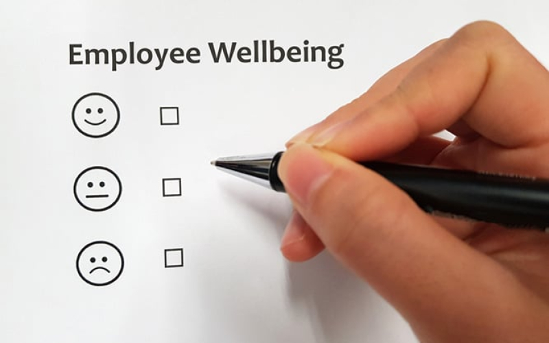 Employee,wellbeing,indicator,using,emoticon